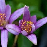 dailyPhoto16