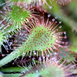 dailyPhoto6