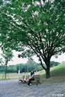dailyPhoto7
