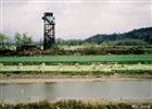 dailyPhoto12