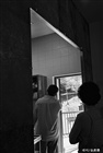 dailyPhoto12