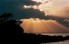 dailyPhoto11