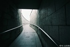 dailyPhoto28