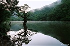 dailyPhoto30