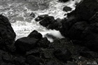dailyPhoto4