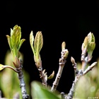 dailyPhoto8