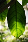 dailyPhoto39