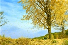 dailyPhoto10