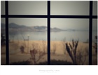 dailyPhoto30