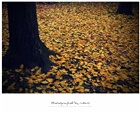 dailyPhoto24