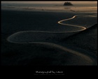 dailyPhoto4
