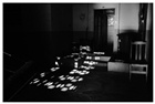 dailyPhoto15