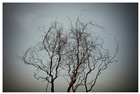 dailyPhoto33