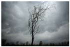 dailyPhoto10