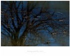 dailyPhoto5