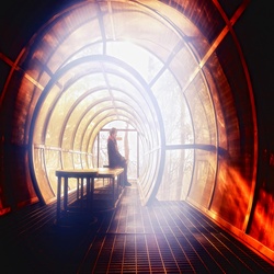 dailyPhoto12
