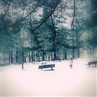 dailyPhoto31