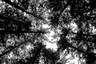dailyPhoto9