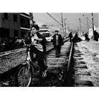 dailyPhoto8