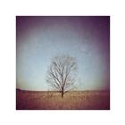 dailyPhoto11