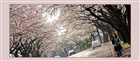 dailyPhoto20