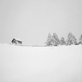 dailyPhoto32