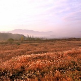 dailyPhoto33