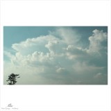 dailyPhoto23
