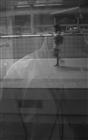 dailyPhoto10