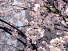dailyPhoto24