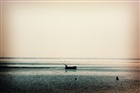 dailyPhoto31