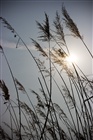dailyPhoto24