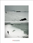 dailyPhoto11