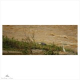 dailyPhoto22