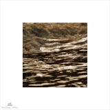 dailyPhoto7