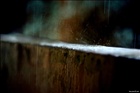 dailyPhoto19