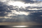 dailyPhoto40