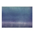 dailyPhoto29
