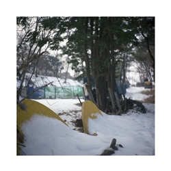 dailyPhoto39