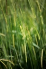 dailyPhoto13