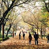 dailyPhoto9