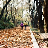 dailyPhoto12