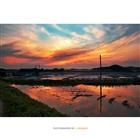 dailyPhoto9