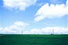 dailyPhoto1