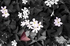 dailyPhoto9