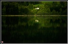 dailyPhoto40