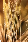 dailyPhoto8