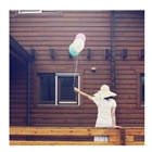 dailyPhoto4