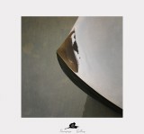 dailyPhoto4