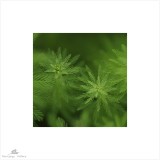 dailyPhoto6
